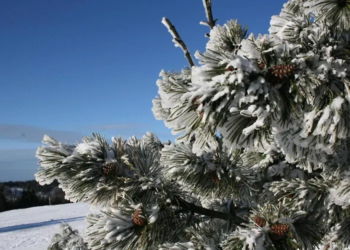 Familijny Apartment *